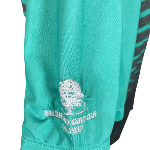 Nike Golf Tour Performance Mens Dri-Fit Teal Striped Short Sleeve Polo Shirt 2XL - Picture 7 of 9